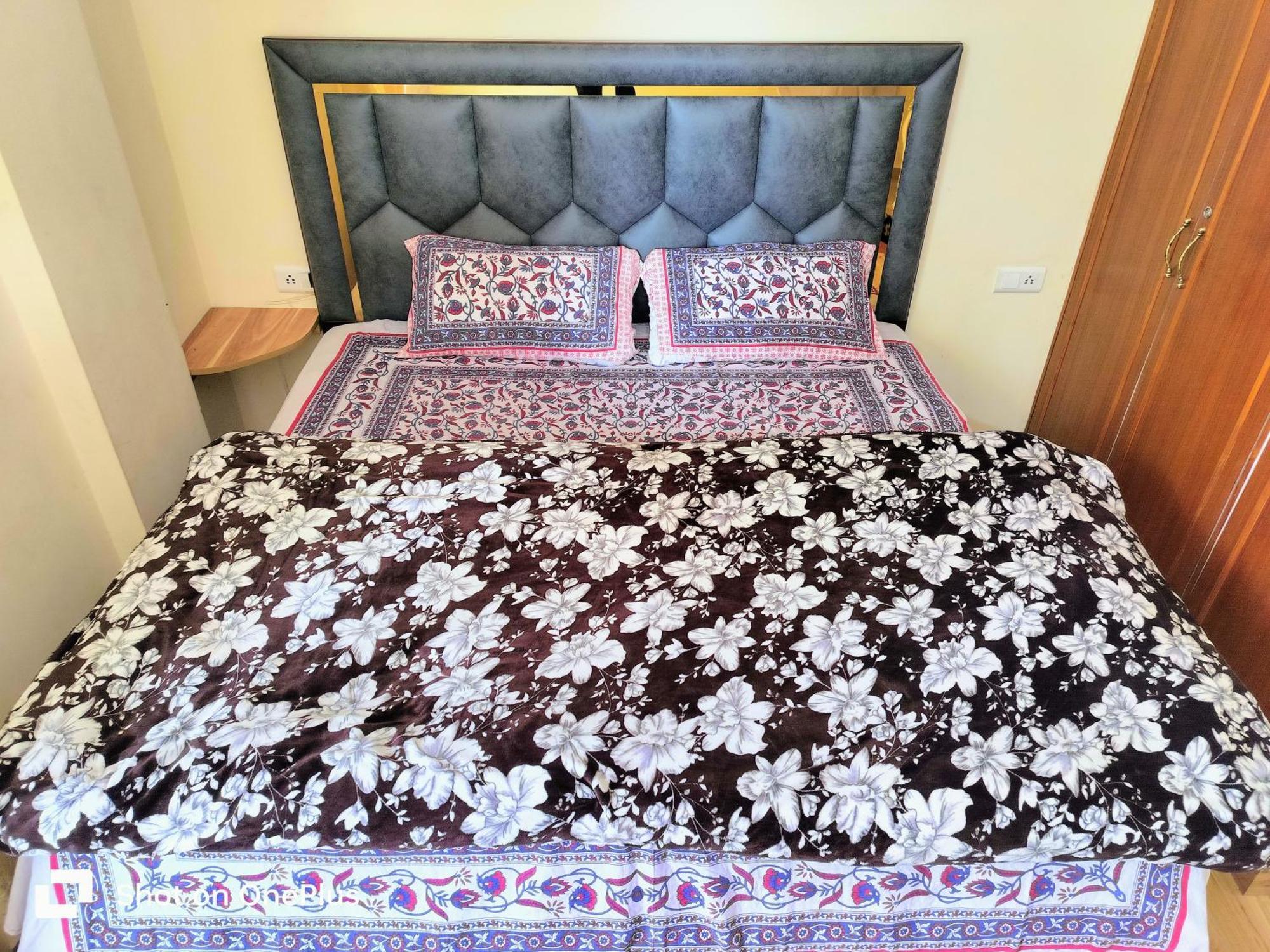 Shimla Vibes B & B Free Pick And Drop From Isbt Shimla Exterior photo